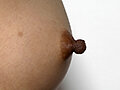 いびつな乳首 - サンプル 8